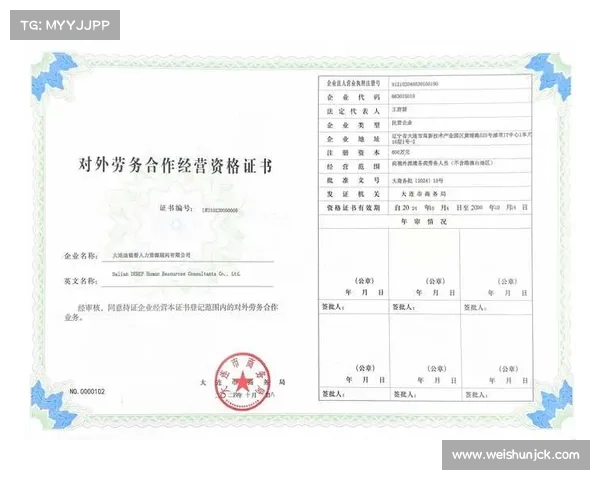 兰赫姆与斯达的合作历程与影响力分析:跨国企业战略与发展路径探索 兰赫姆与斯达的合作历程与影响力分析:跨国企业战略与发展路径探索